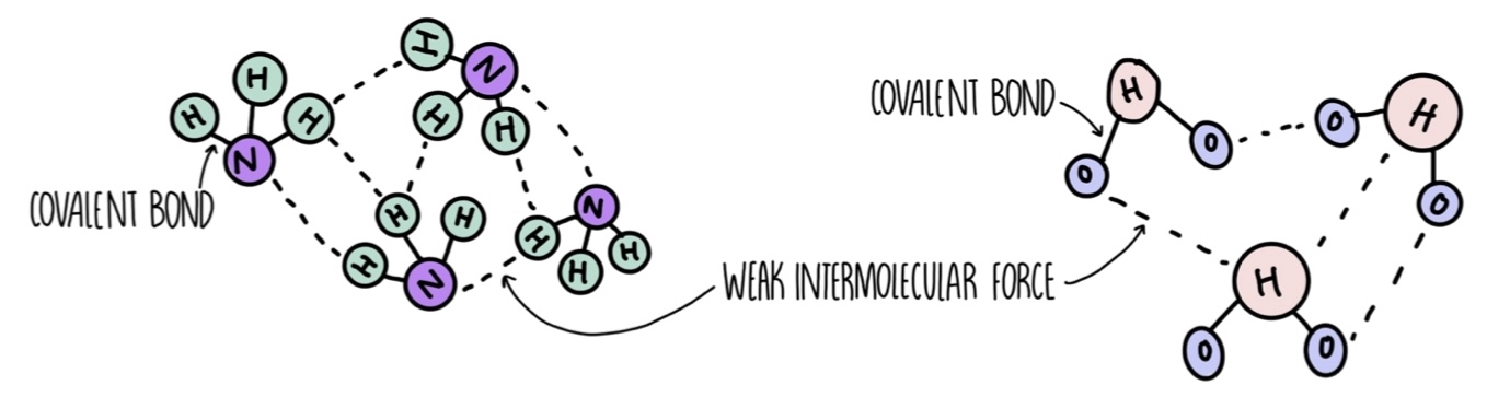 Covalent Diagram